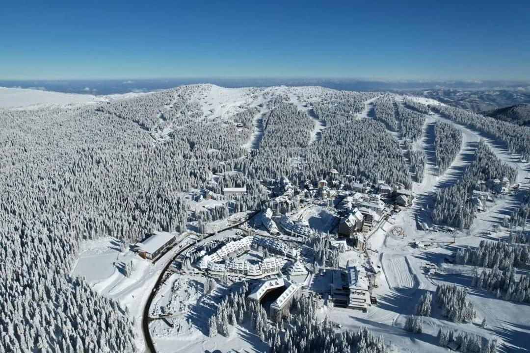 Woodside Apartment M Kopaonik Free Parking المظهر الخارجي الصورة