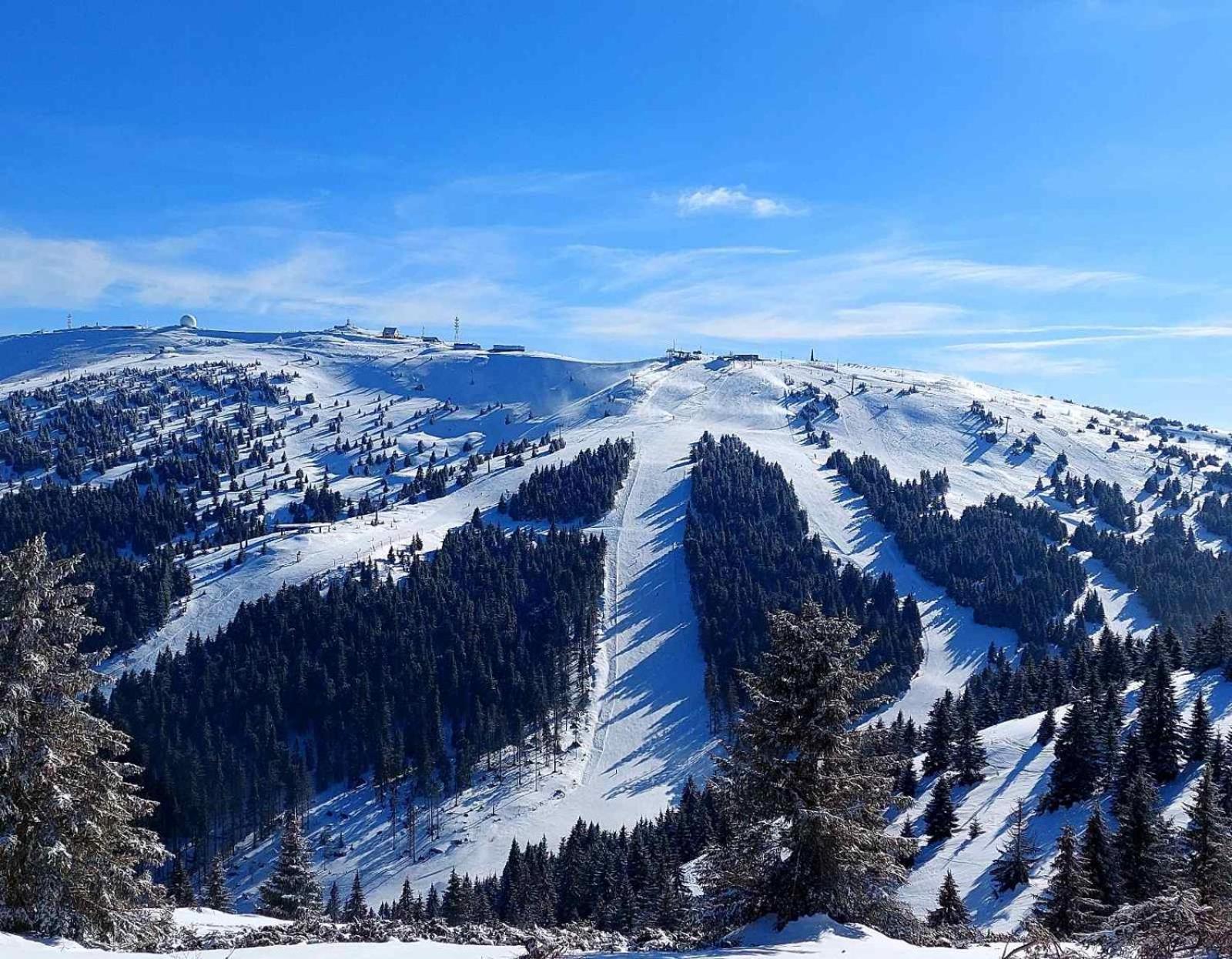 Woodside Apartment M Kopaonik Free Parking المظهر الخارجي الصورة